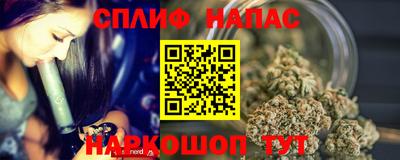 гидра Аша