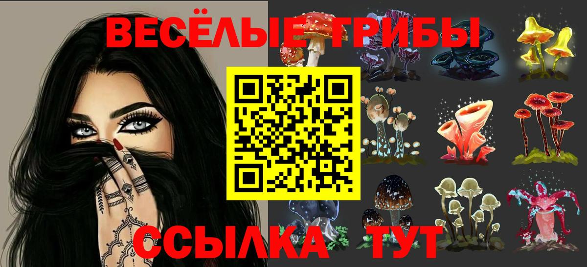 Псилоцибиновые грибы Magic Shrooms  Вход с VPN  Феодосия  Псилоцибиновые грибы Psilocybine cubensis 